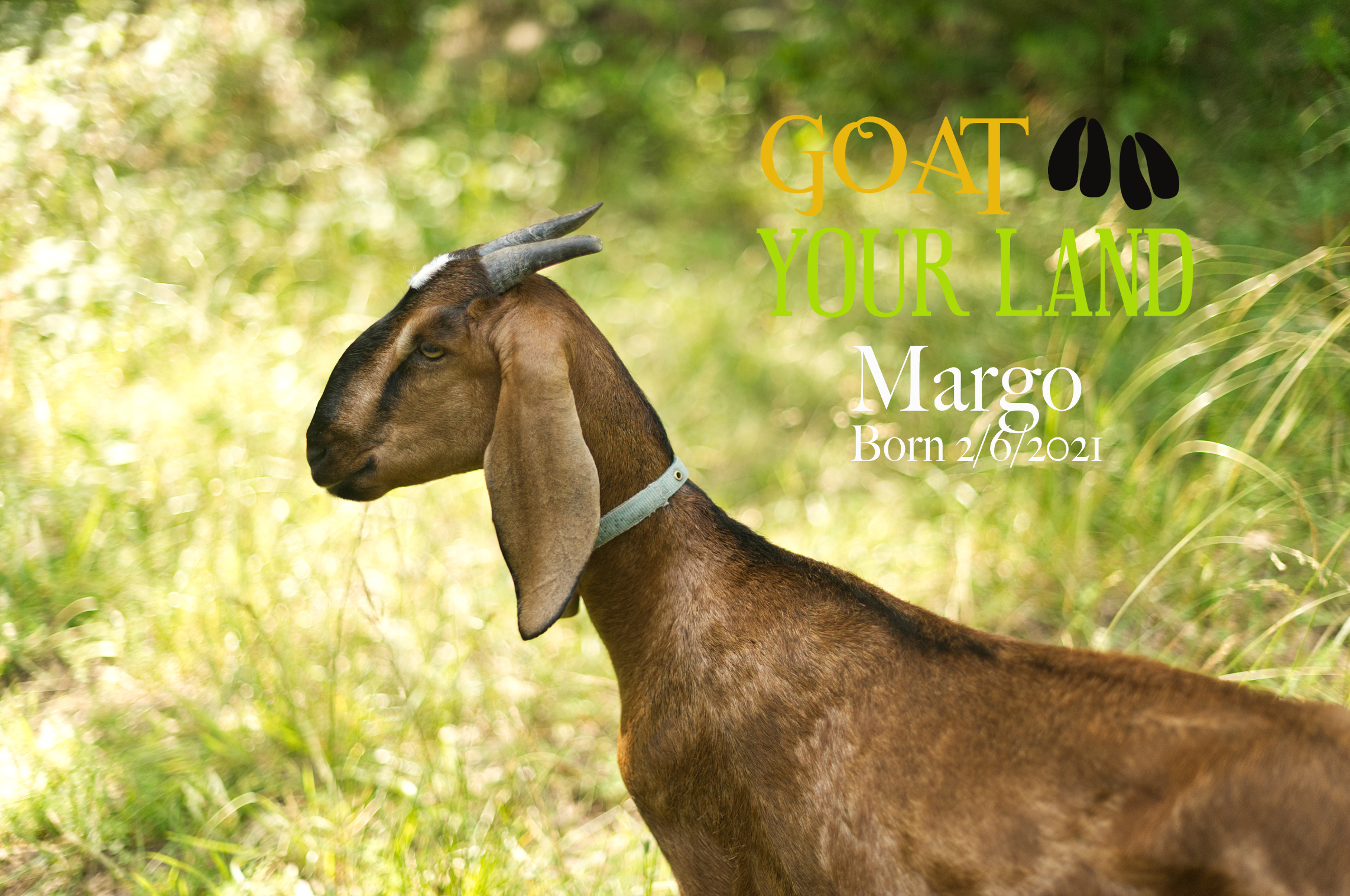 Margo1